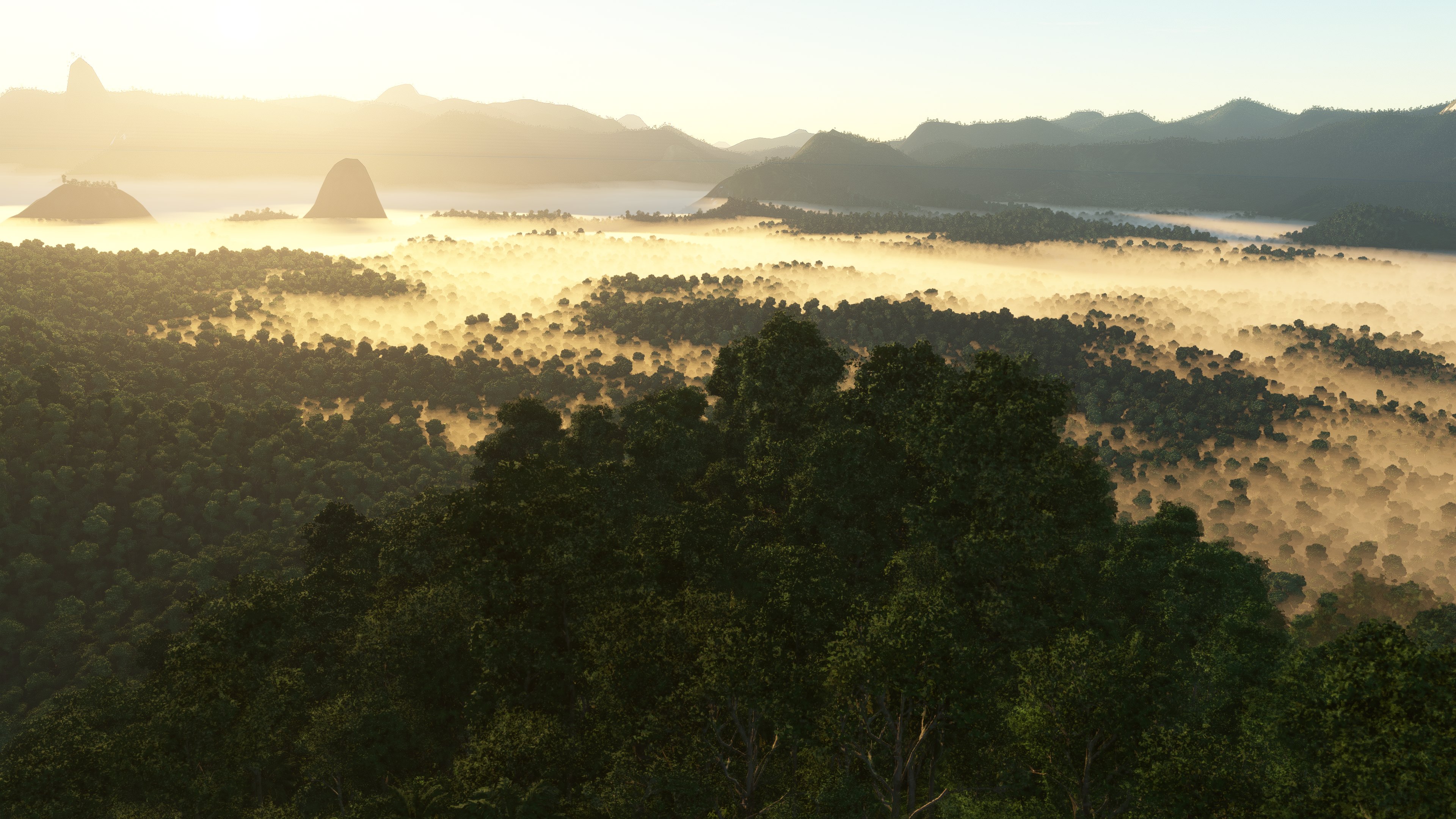 Microsoft Flight Simulator 2024 - Imagen 24